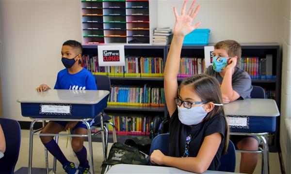 students raise hands in class